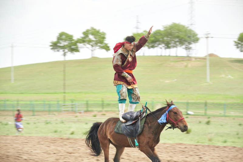 河北省沽源县库伦淖尔景区的蒙古马术表演