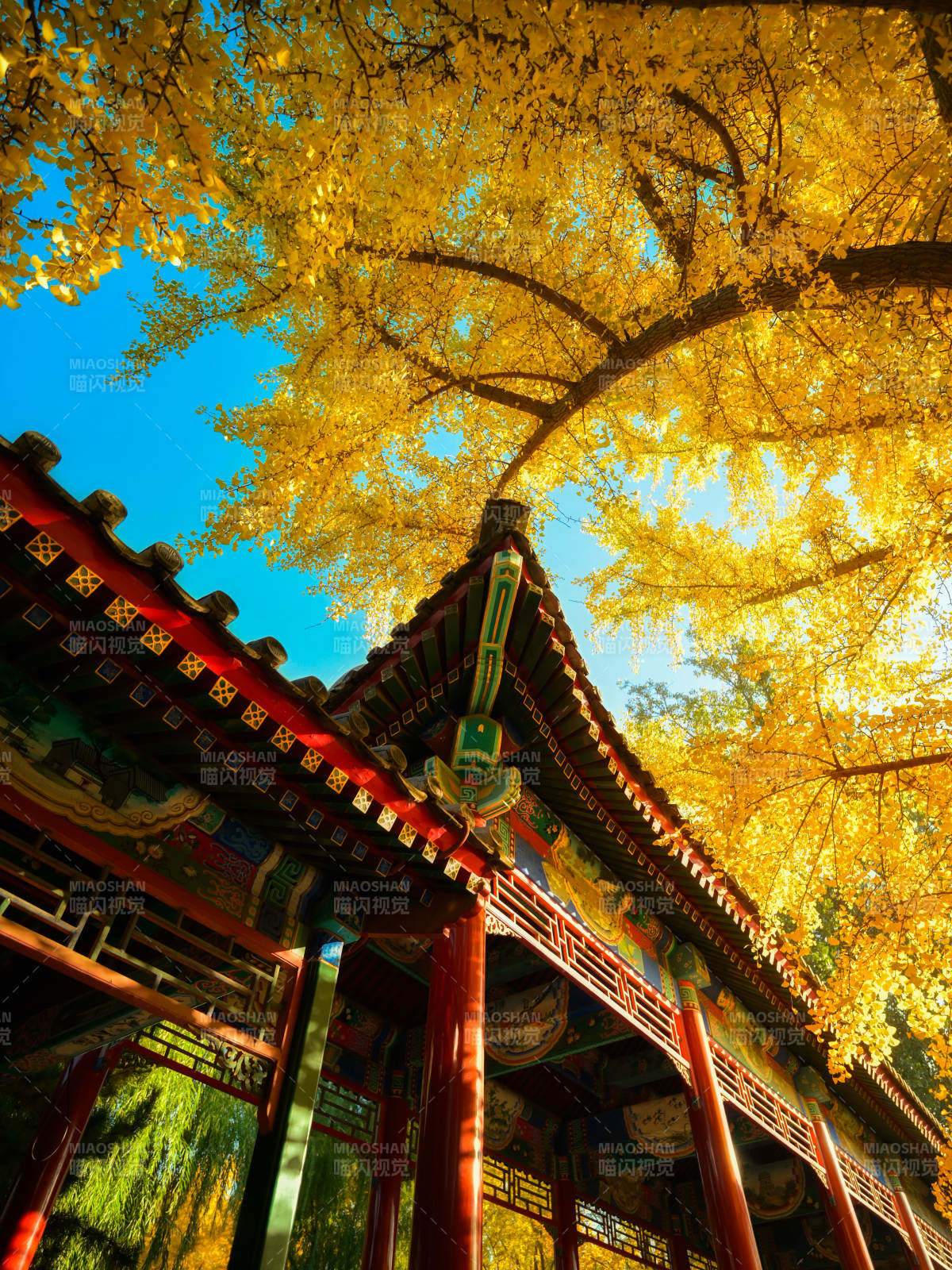 秋色中的古建筑