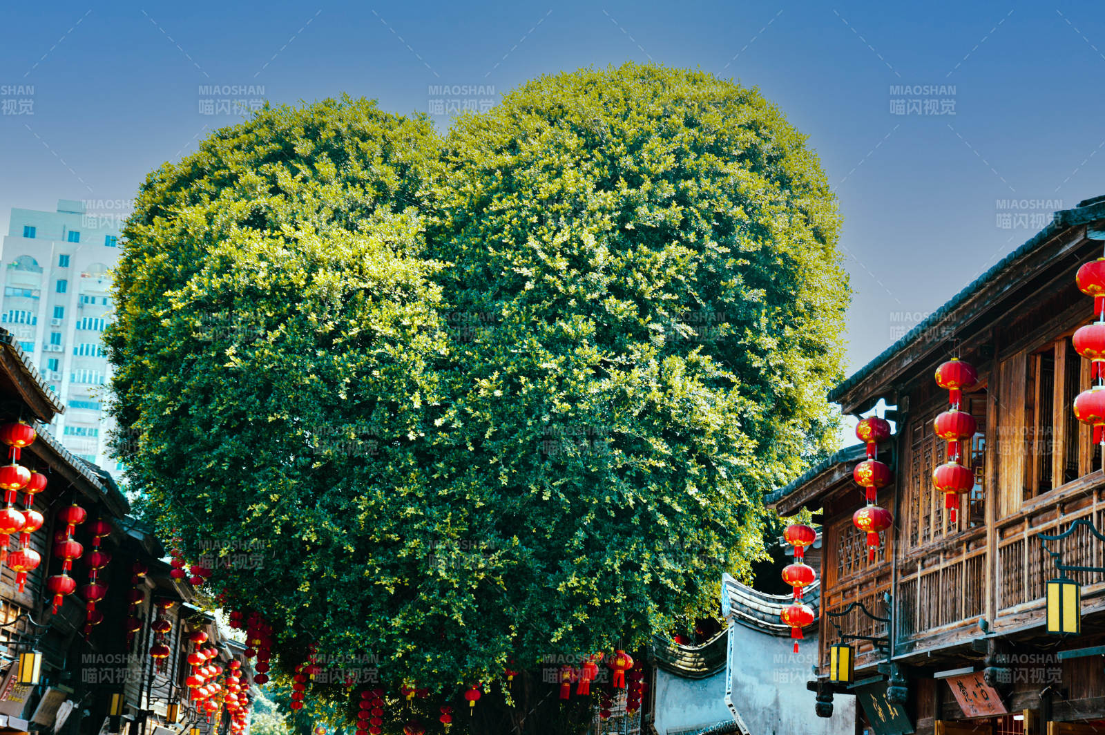 古街綠樹紅燈