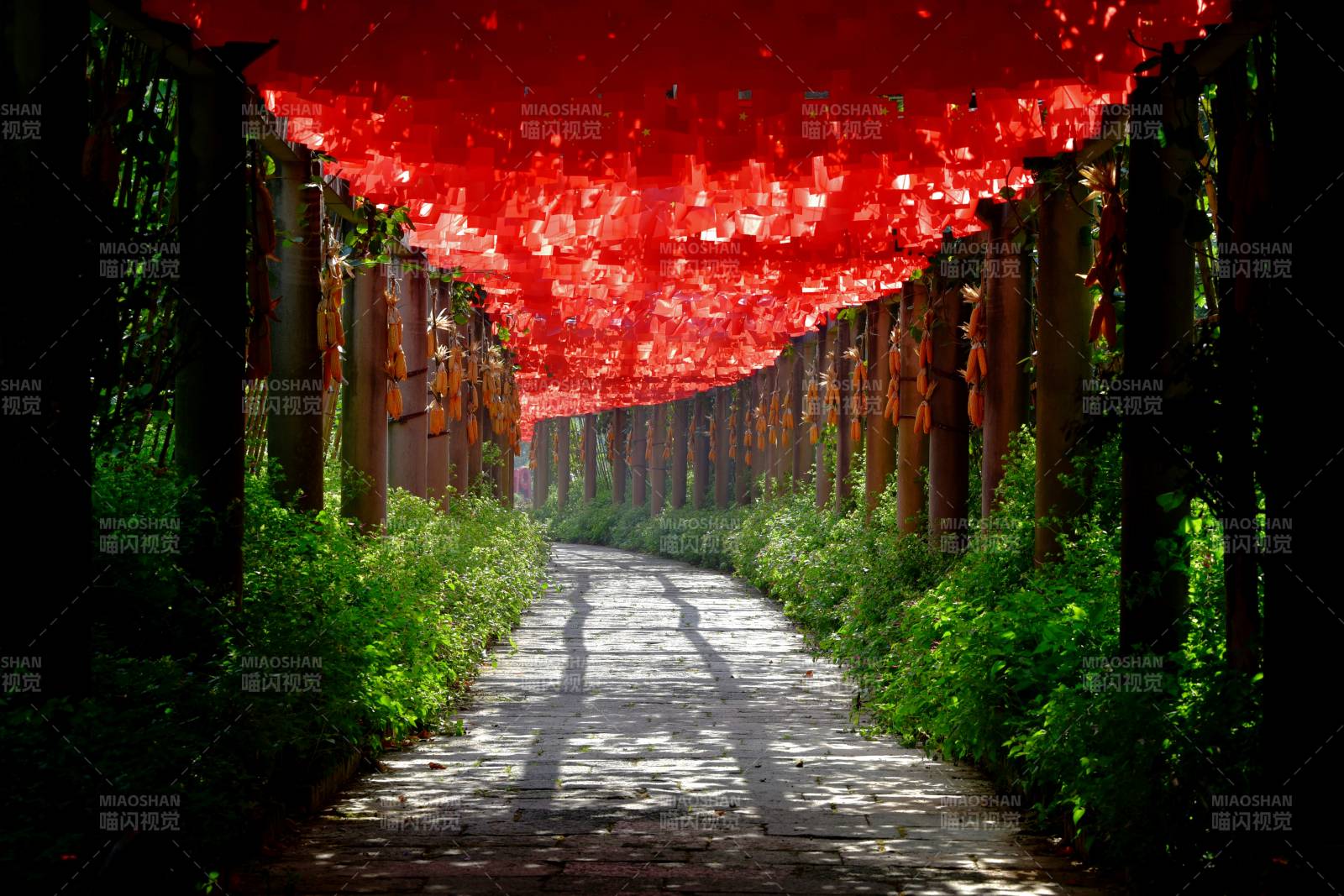 美麗鄉村新農村建設長廊