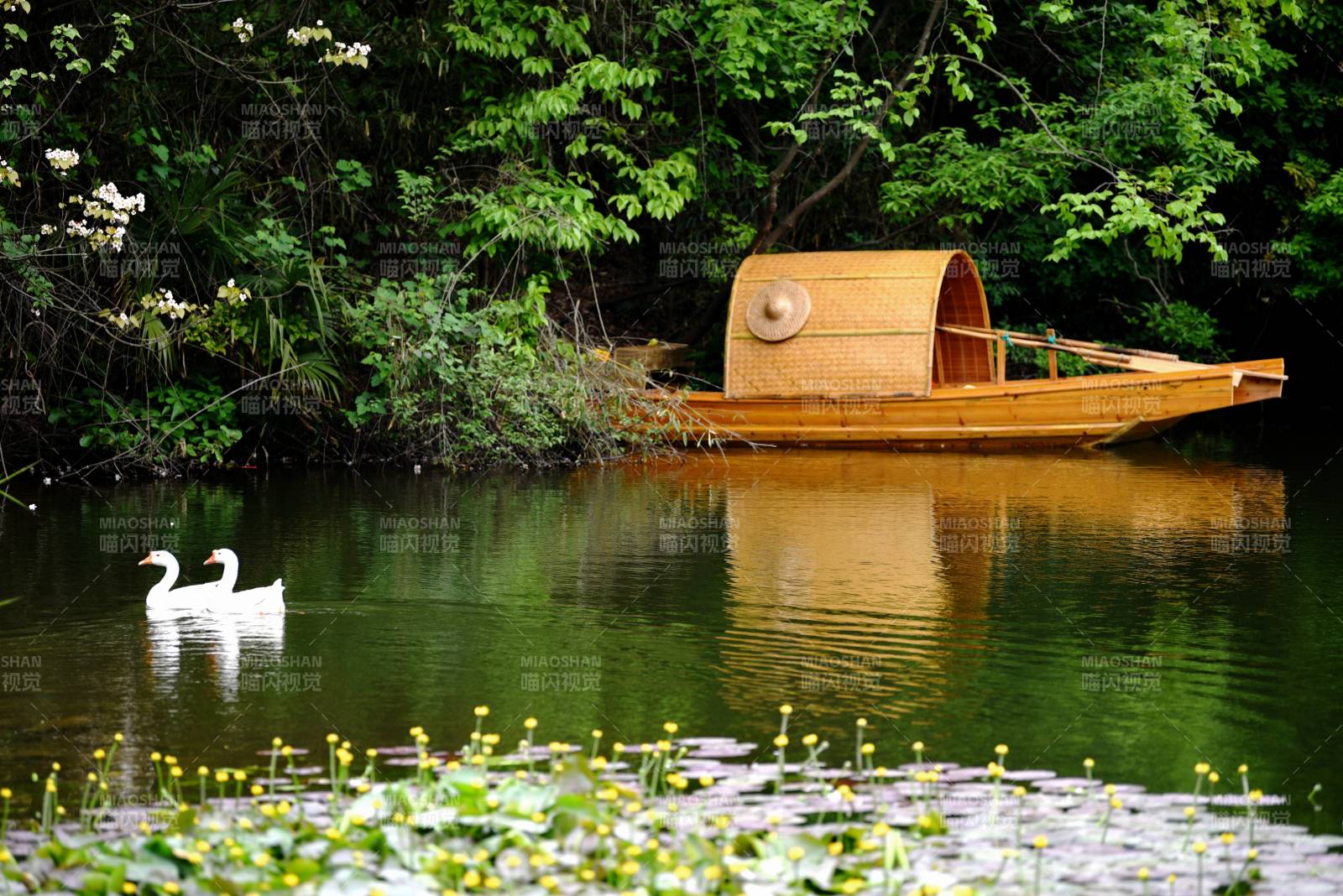 湖畔竹舟靜謐景