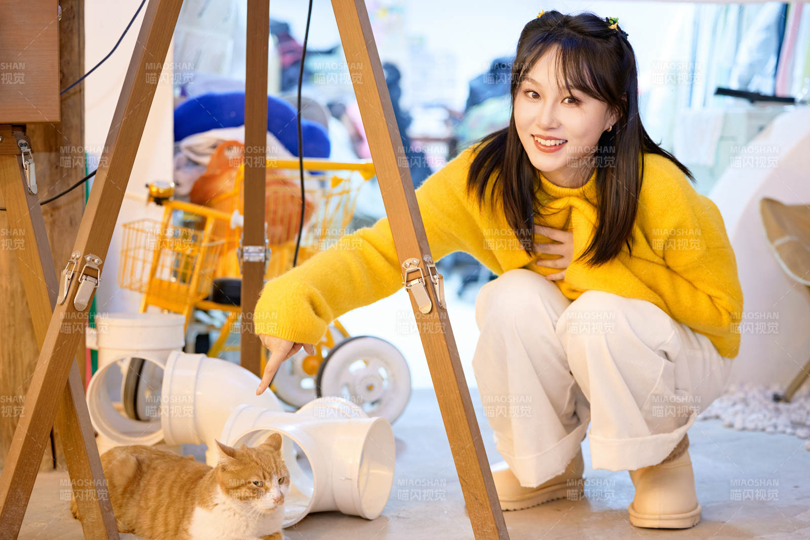 假日在猫咖啡店与猫咪嬉戏的亚洲美女