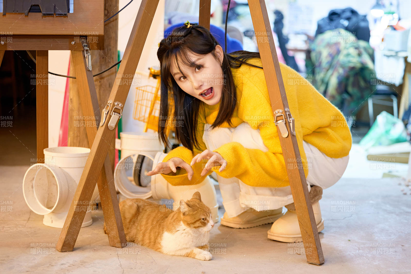 假日在猫咖啡店与猫咪嬉戏的亚洲美女