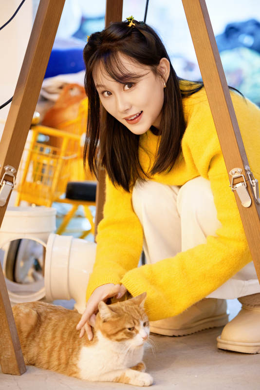 假日在猫咖啡店与猫咪嬉戏的亚洲美女