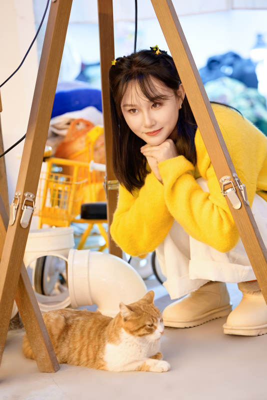 假日在猫咖啡店与猫咪嬉戏的亚洲美女