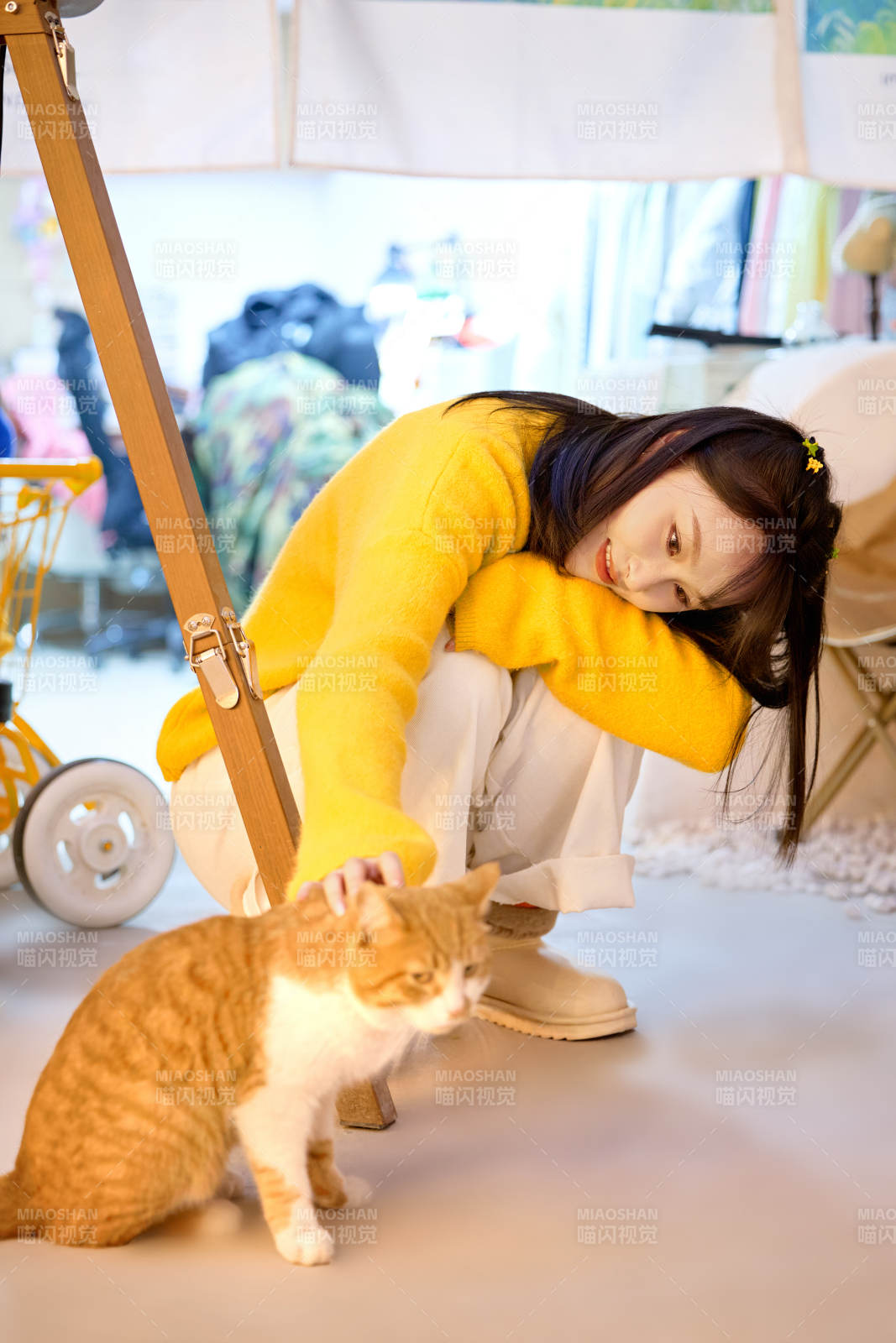 假日在貓咖啡店與貓咪嬉戲的亞洲美女