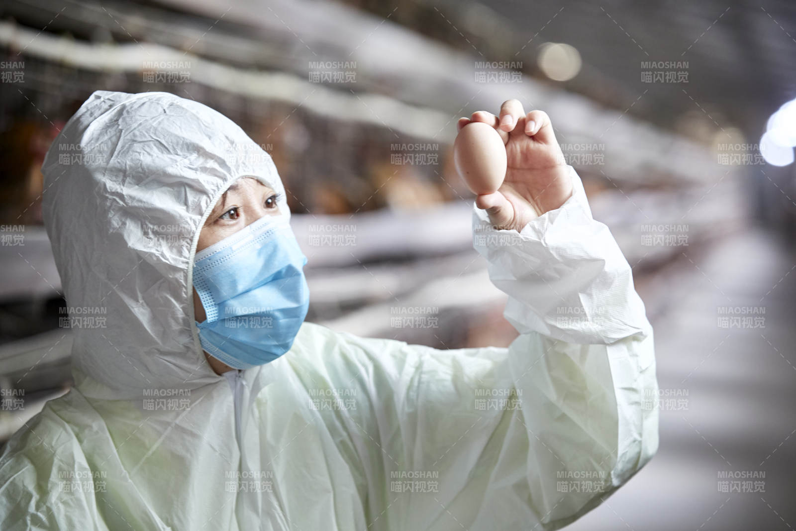 身穿防护服展示油鸡蛋的女性饲养员