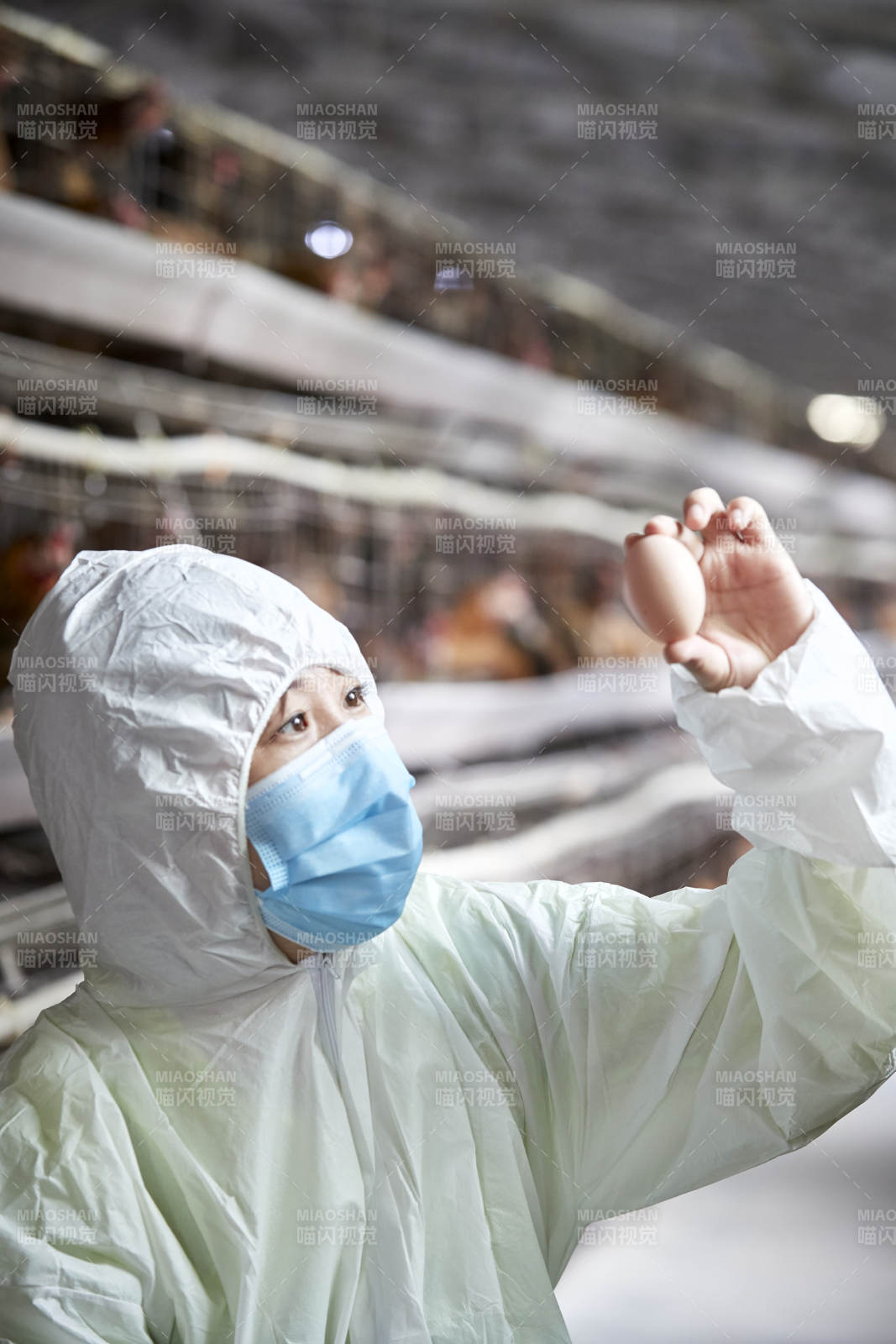 身穿防护服展示油鸡蛋的女性饲养员
