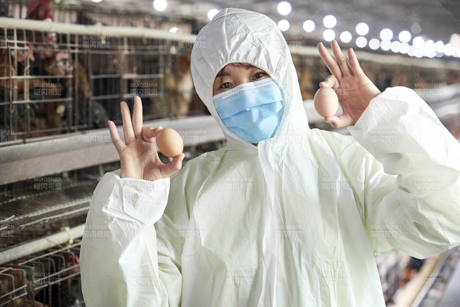 身穿防护服展示油鸡蛋的女性饲养员