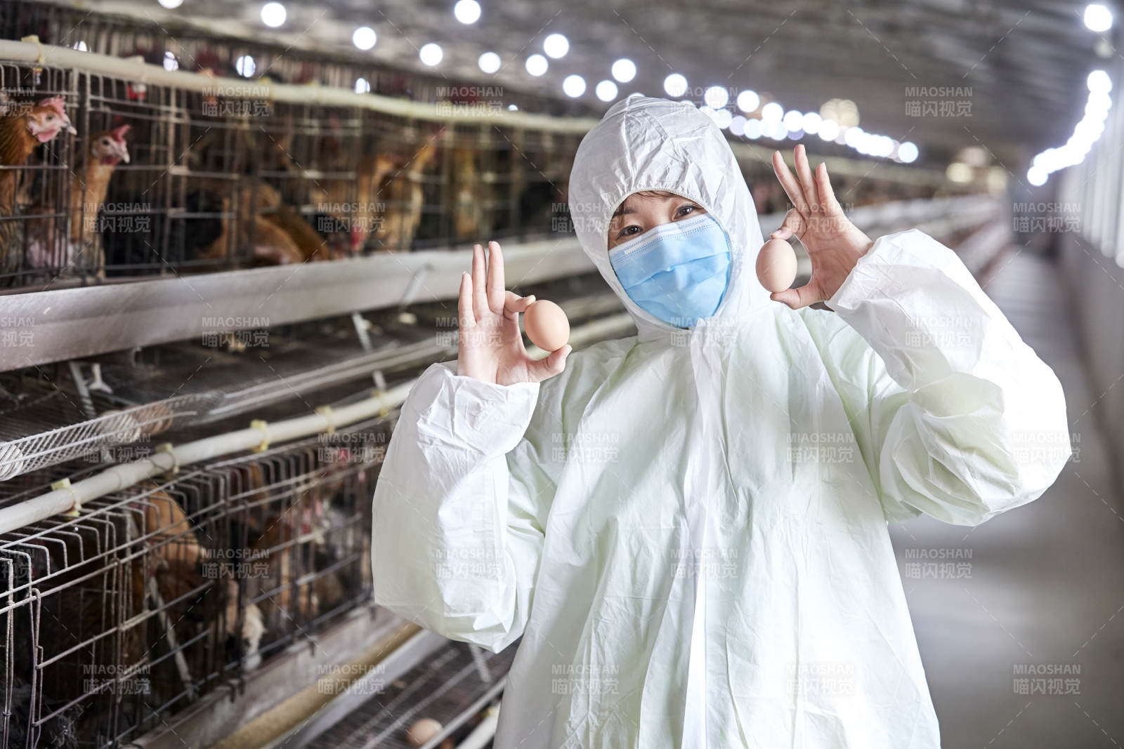 身穿防護服展示油雞蛋的女性飼養員