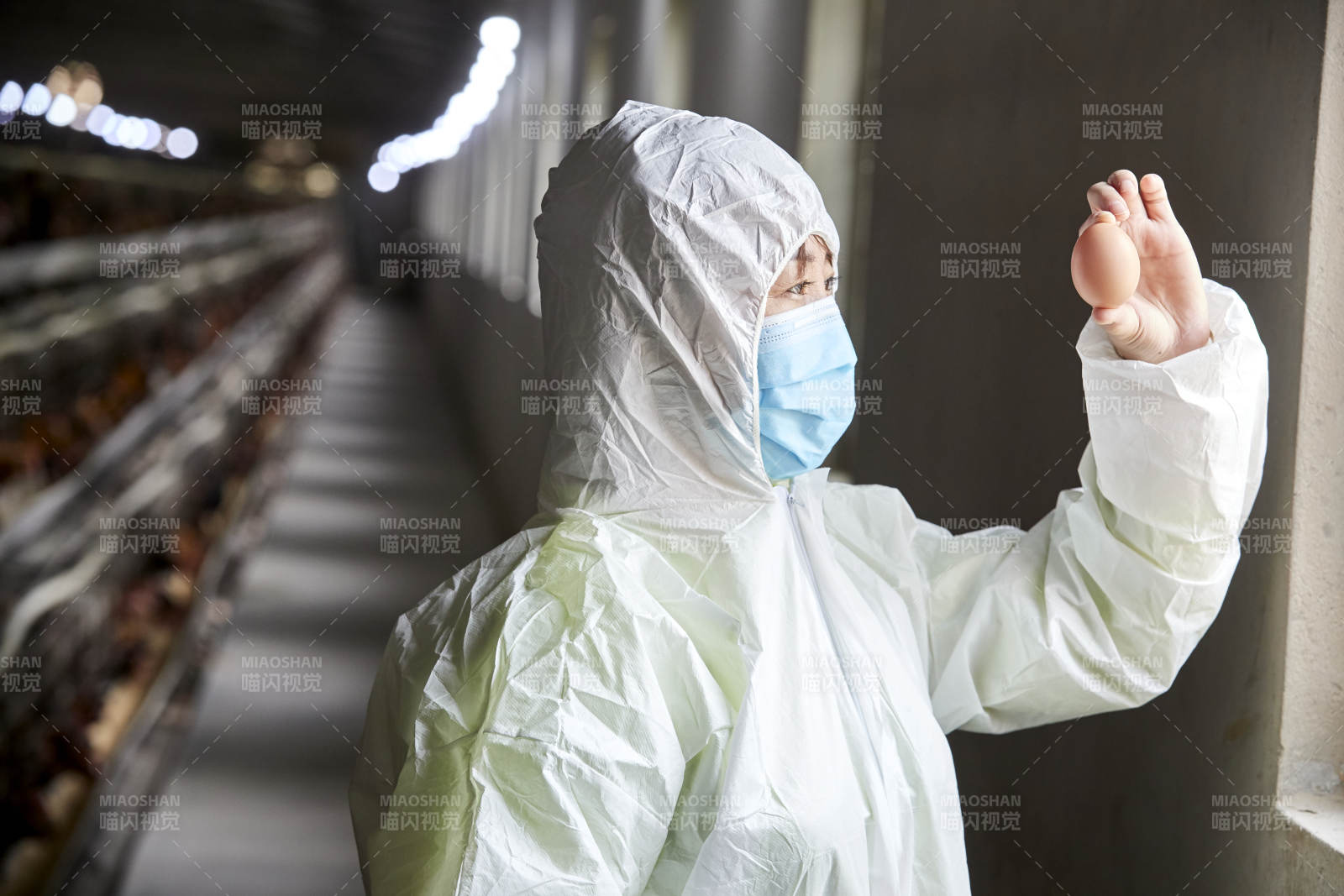 身穿防護服展示油雞蛋的女性飼養員