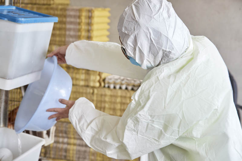 身穿防护服展示油鸡蛋的女性饲养员