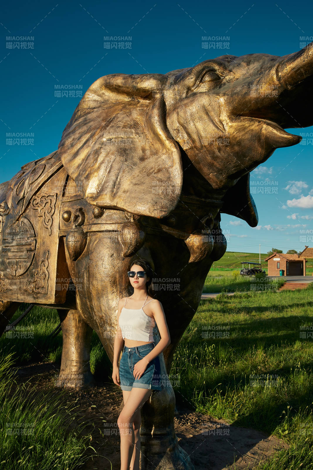 草原濕地公園游玩拍照的亞洲少女