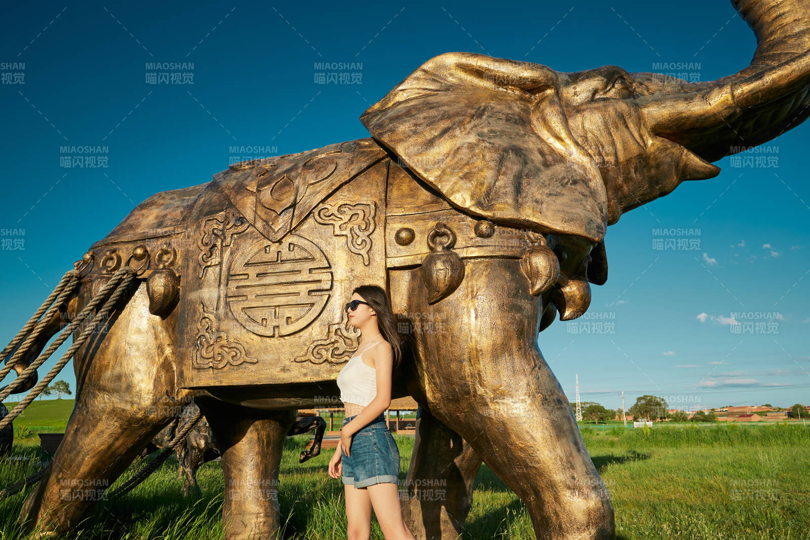草原濕地公園游玩拍照的亞洲少女