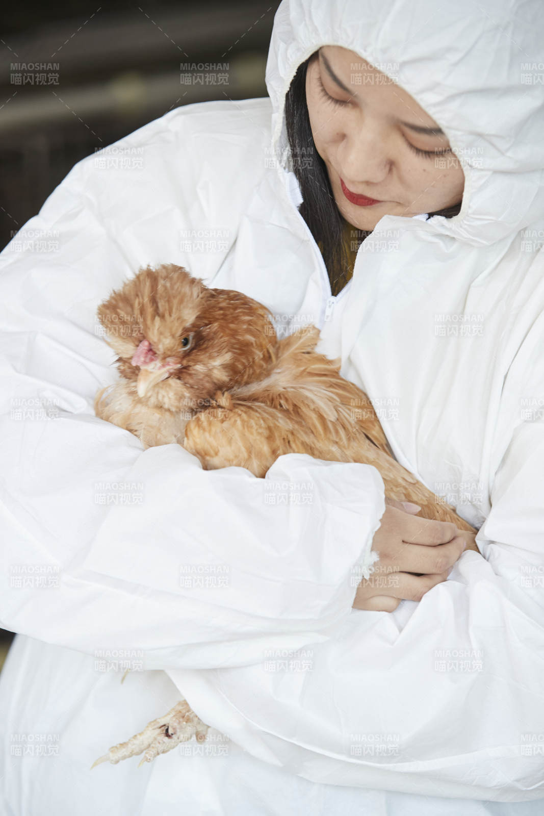 身穿防護服懷抱家禽的年輕女性飼養員