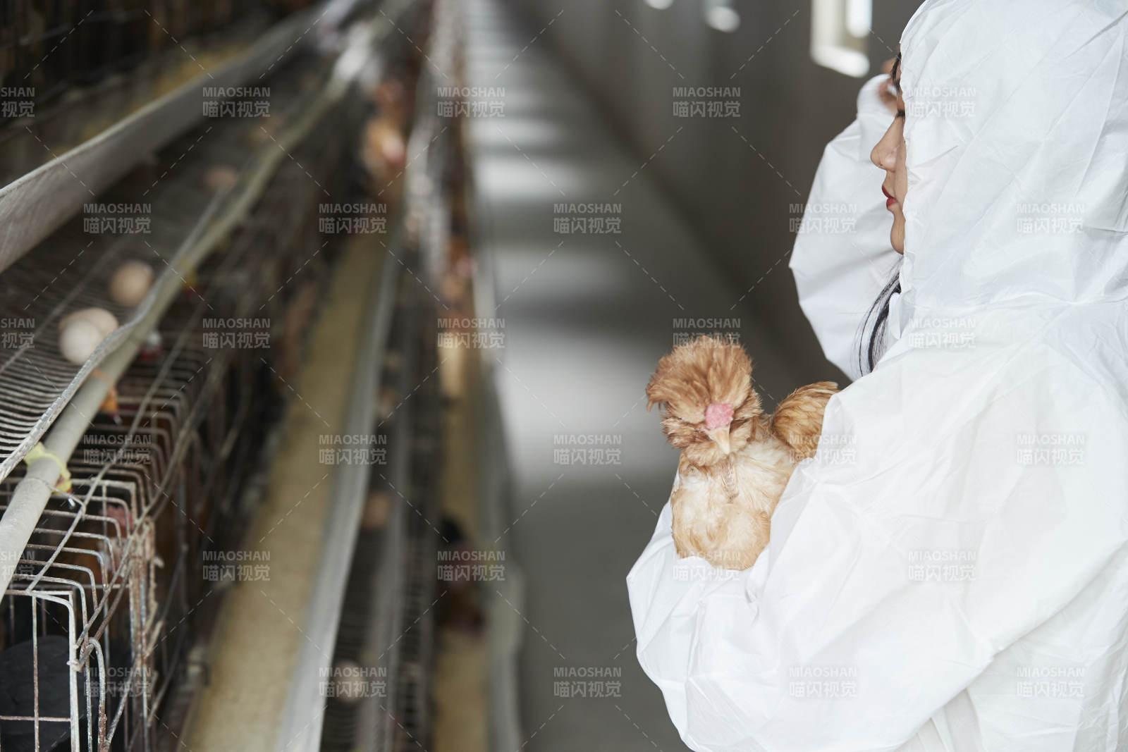 身穿防护服怀抱家禽的年轻女性饲养员