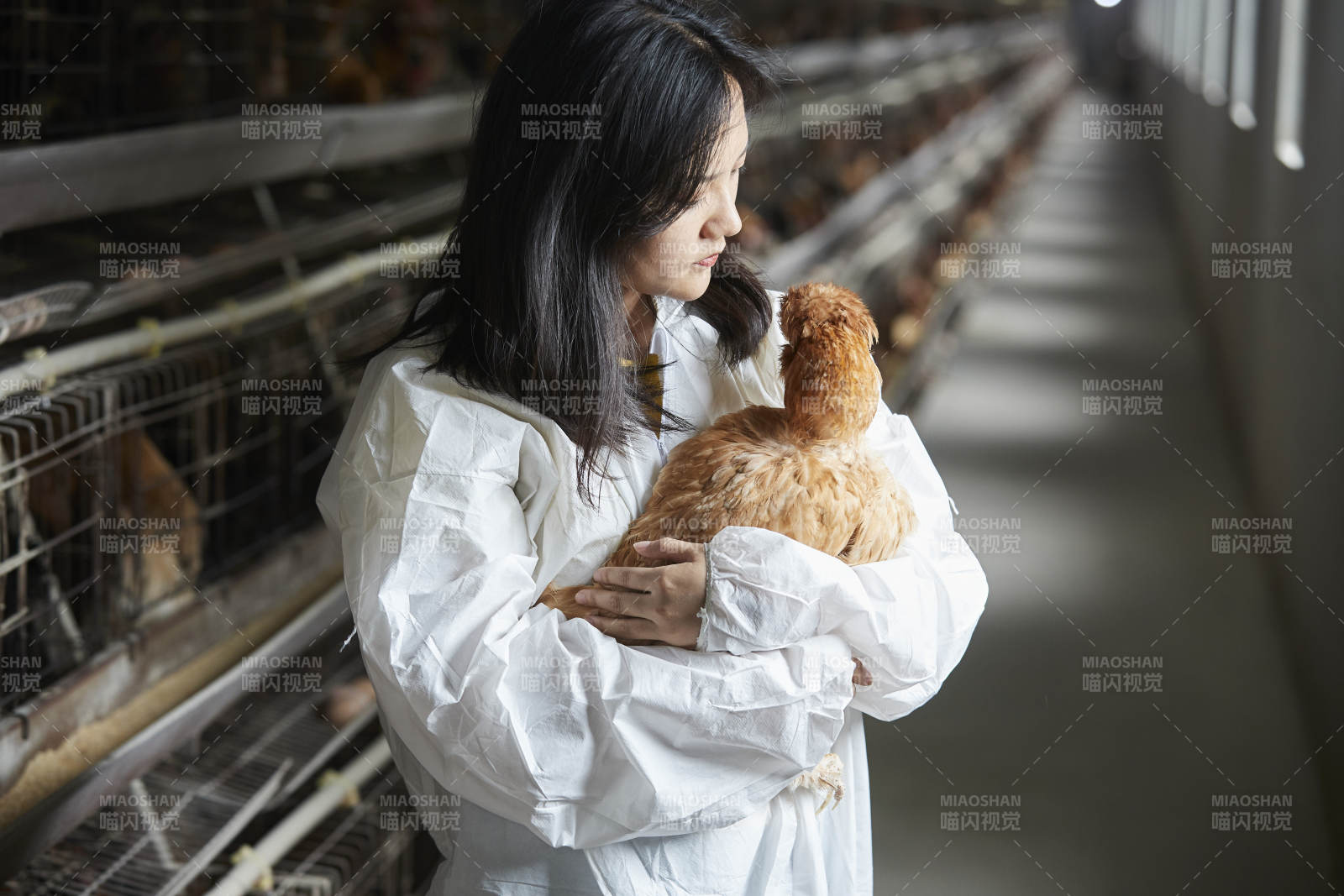 身穿防护服怀抱家禽的年轻女性饲养员