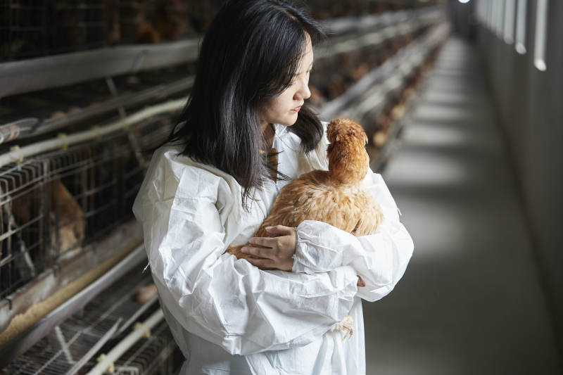 身穿防护服怀抱家禽的年轻女性饲养员