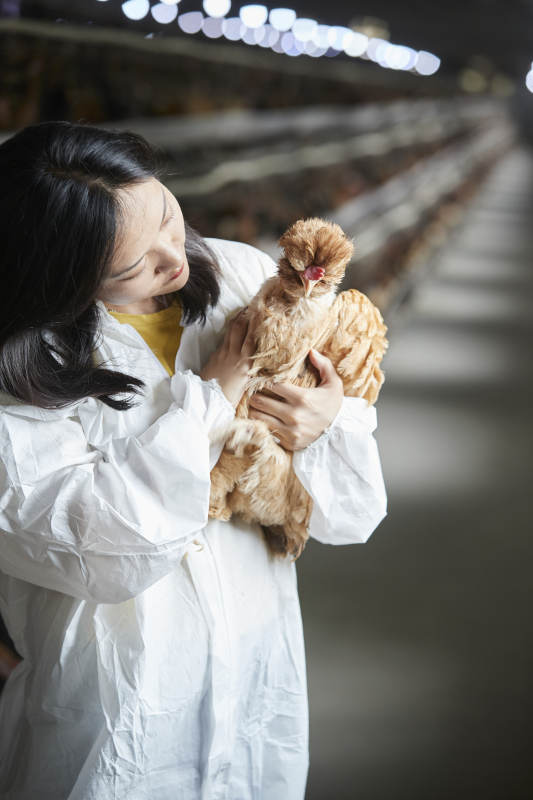 身穿防护服怀抱家禽的年轻女性饲养员
