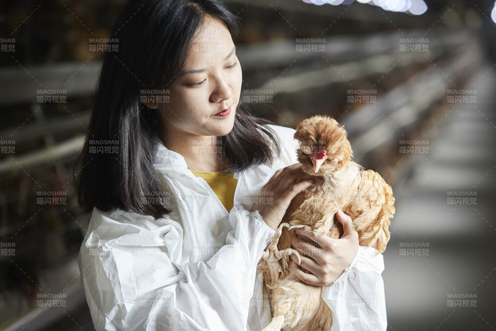身穿防護服懷抱家禽的年輕女性飼養員