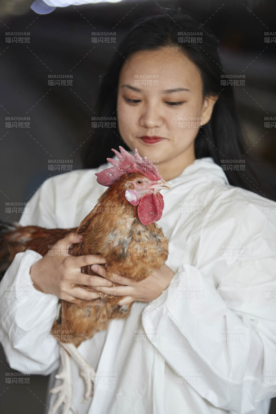 身穿防護服懷抱家禽的年輕女性飼養員