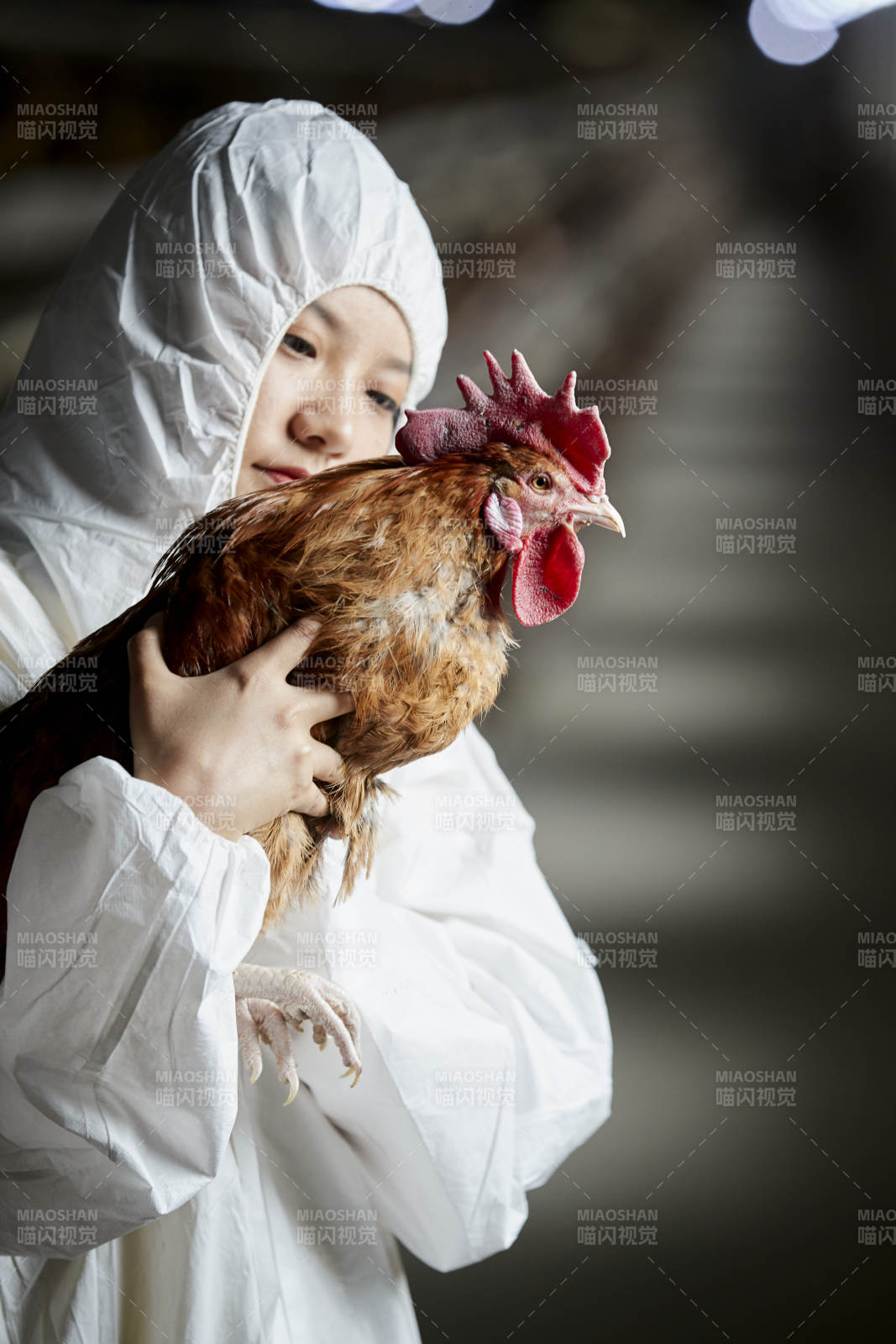 身穿防護服懷抱家禽的年輕女性飼養員