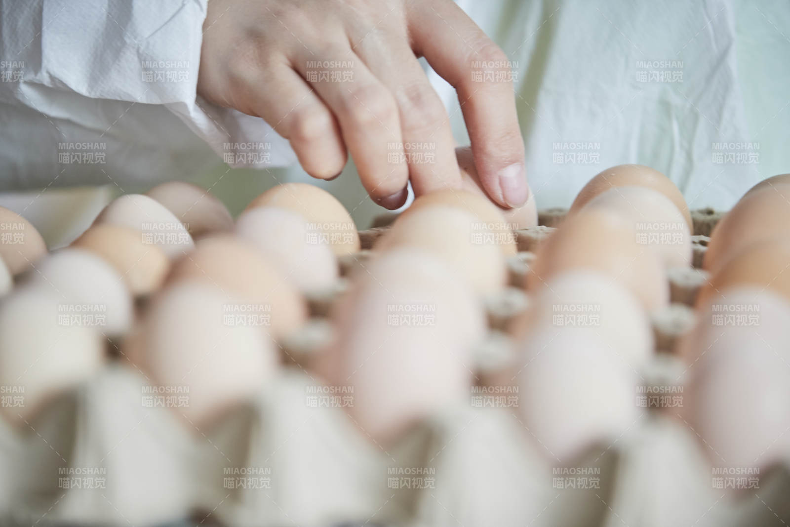 身穿防護服展示油雞蛋的女性飼養員