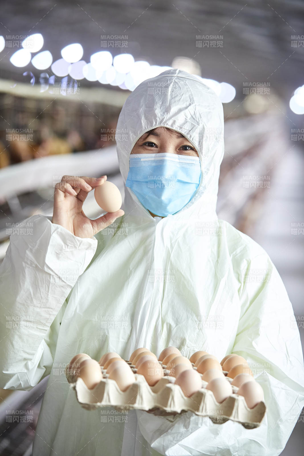 身穿防護服展示油雞蛋的女性飼養員