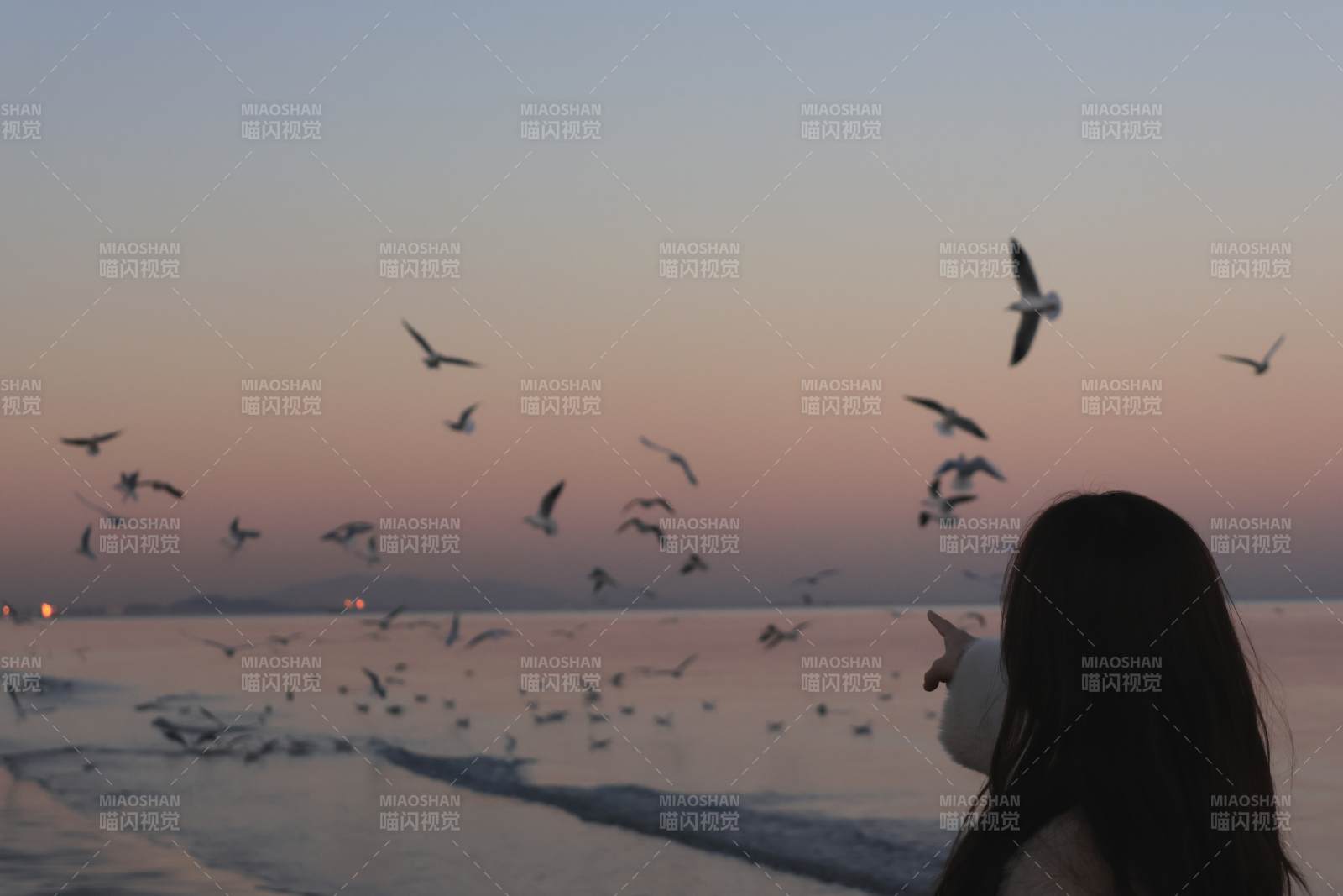 海邊日落飛鳥