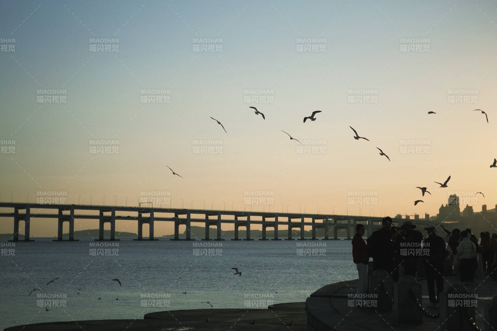 橋畔黃昏飛鳥群