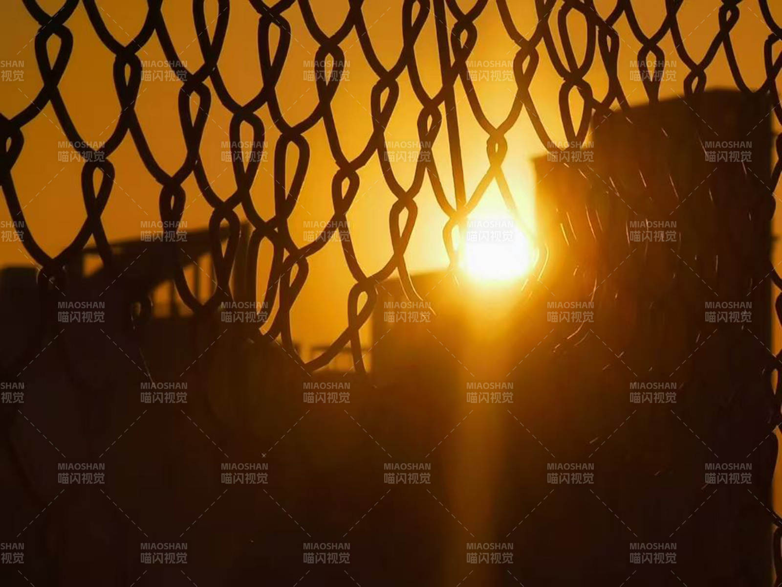 夕陽穿透鐵網