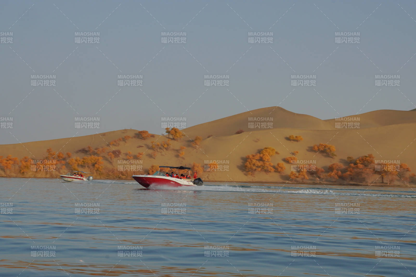 沙漠湖上快艇馳騁