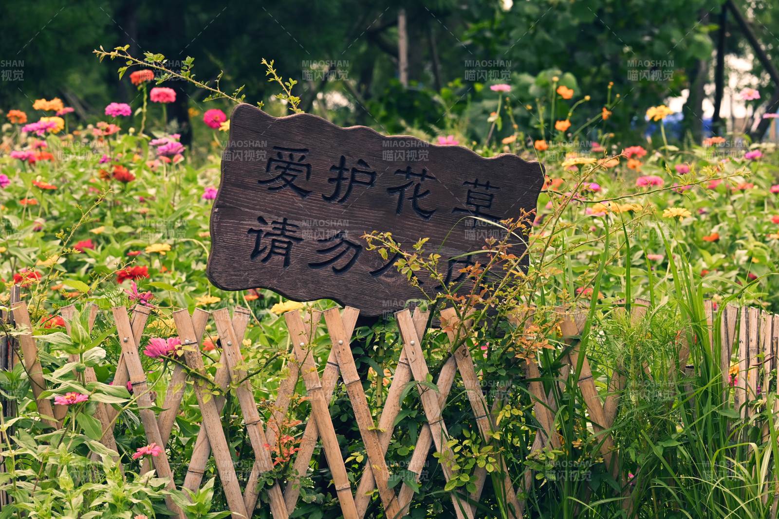 愛護花草 請勿踐踏