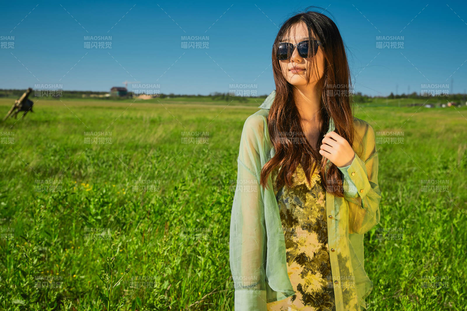 盛夏在草原濕地公園游玩的姑娘