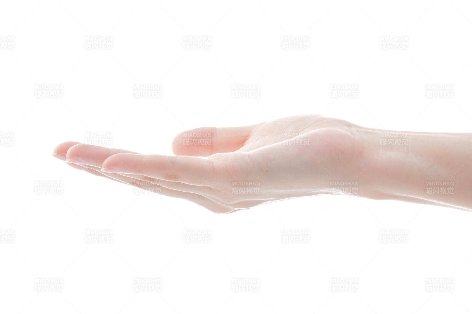 纤细柔美的女性手部特写