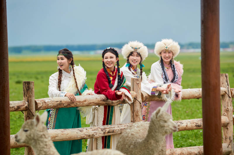 穿藏族服饰的姑娘们在投喂饲养的羊驼