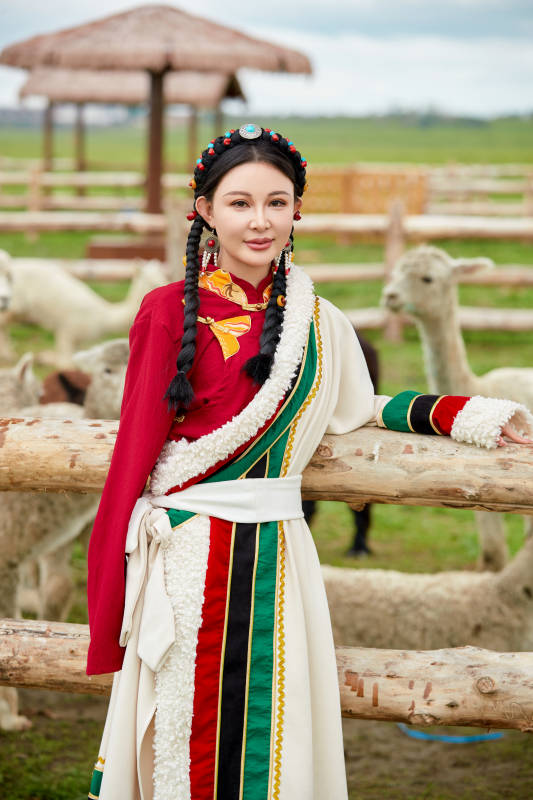 穿藏族服饰的姑娘在羊驼饲养基地拍照