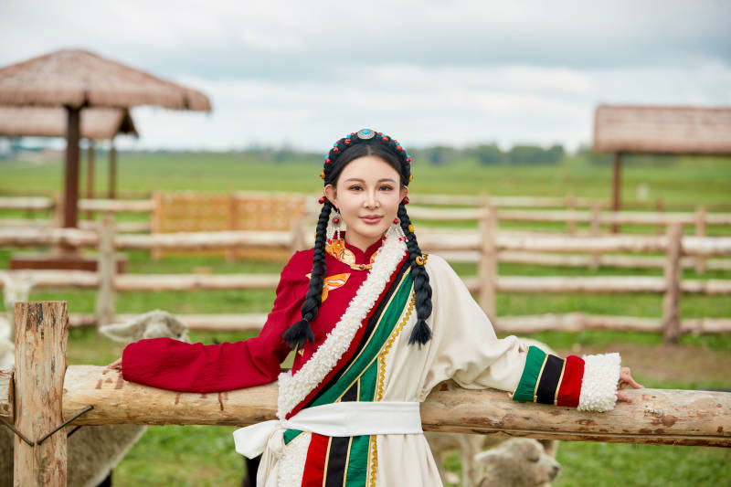 穿藏族服饰的姑娘在羊驼饲养基地拍照