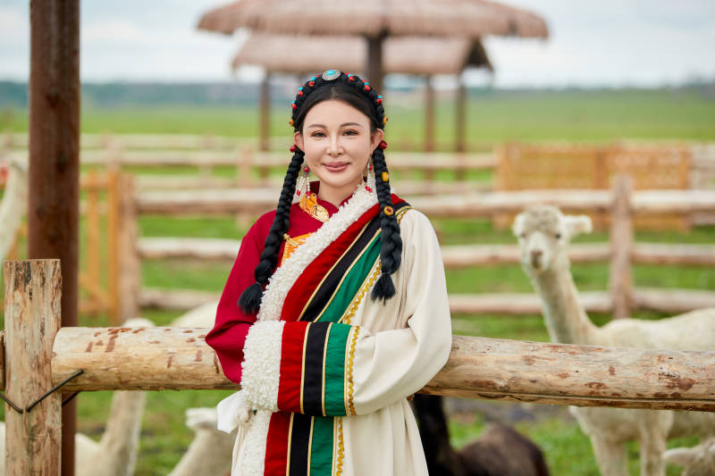 穿藏族服饰的姑娘在羊驼饲养基地拍照