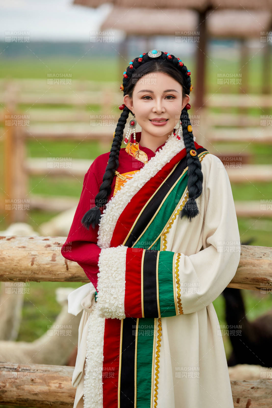 穿藏族服饰的姑娘在羊驼饲养基地拍照