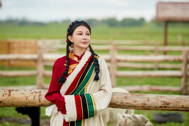 穿藏族服饰的姑娘在羊驼饲养基地拍照