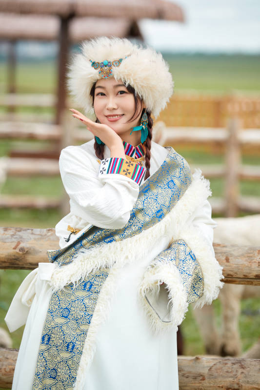穿藏族服饰的姑娘在羊驼饲养基地拍照