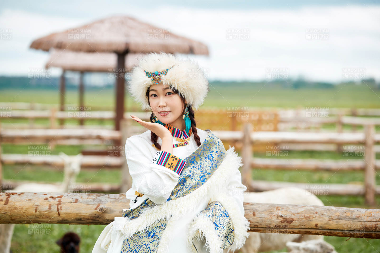 穿藏族服饰的姑娘在羊驼饲养基地拍照