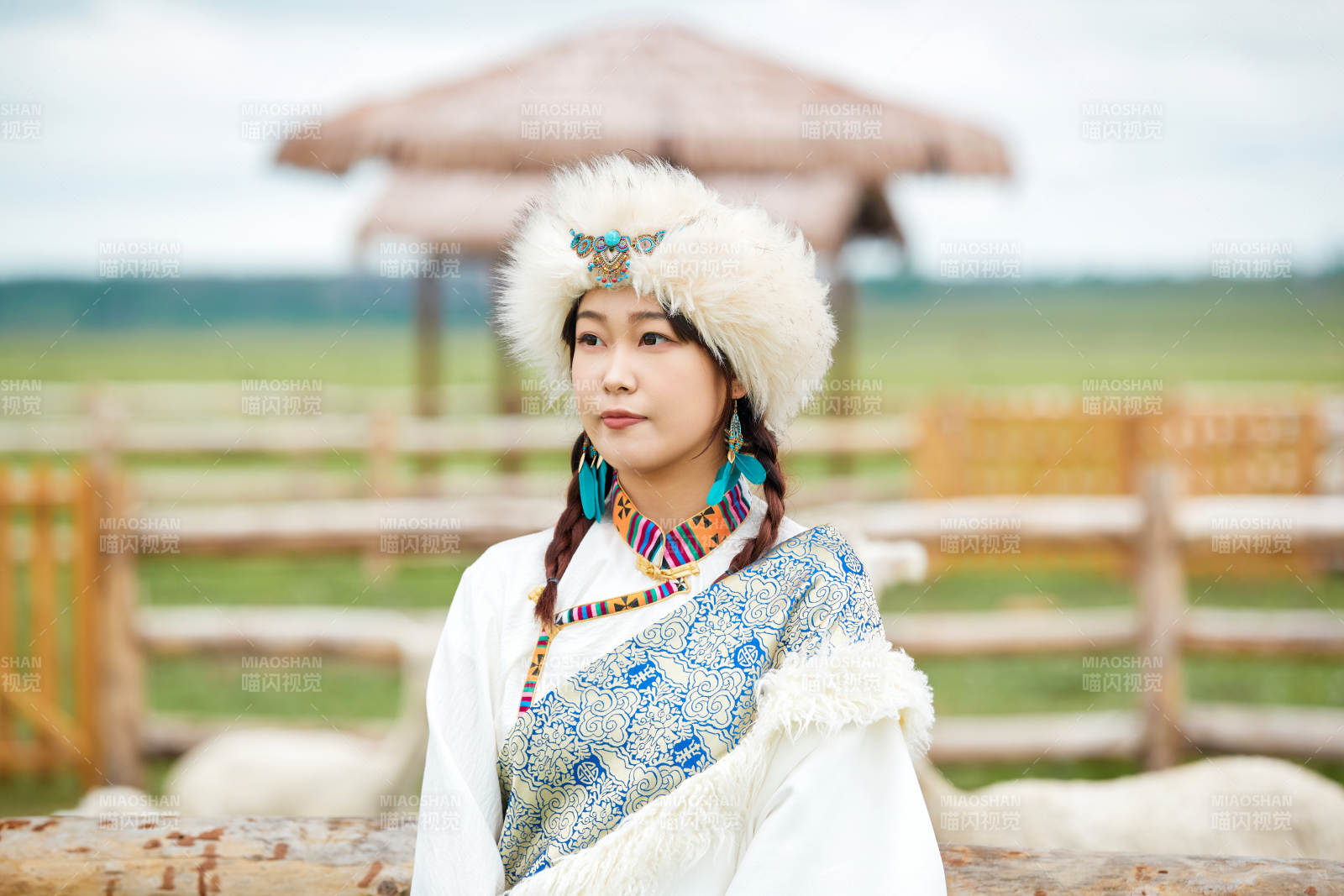 穿藏族服饰的姑娘在羊驼饲养基地拍照