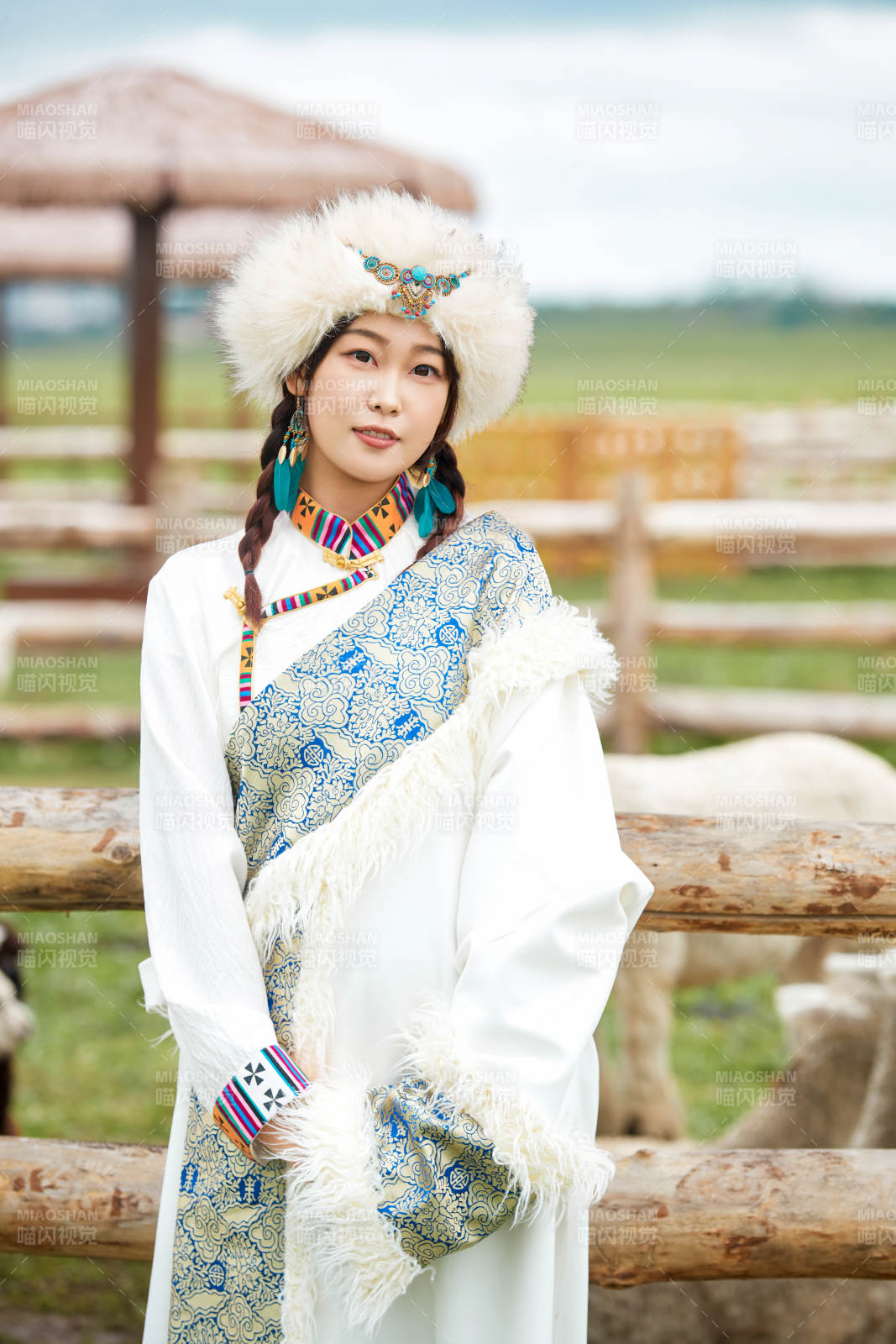 穿藏族服饰的姑娘在羊驼饲养基地拍照