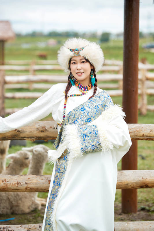 穿藏族服饰的姑娘在羊驼饲养基地拍照
