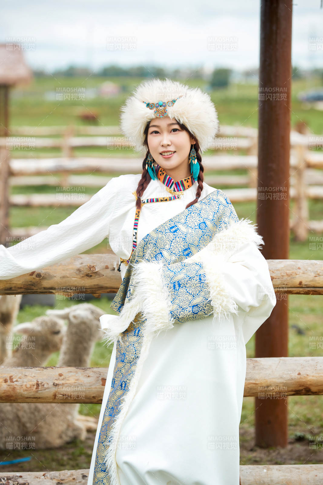 穿藏族服饰的姑娘在羊驼饲养基地拍照