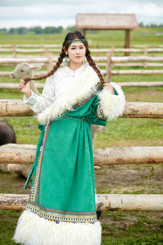 穿藏族服饰的姑娘在羊驼饲养基地拍照