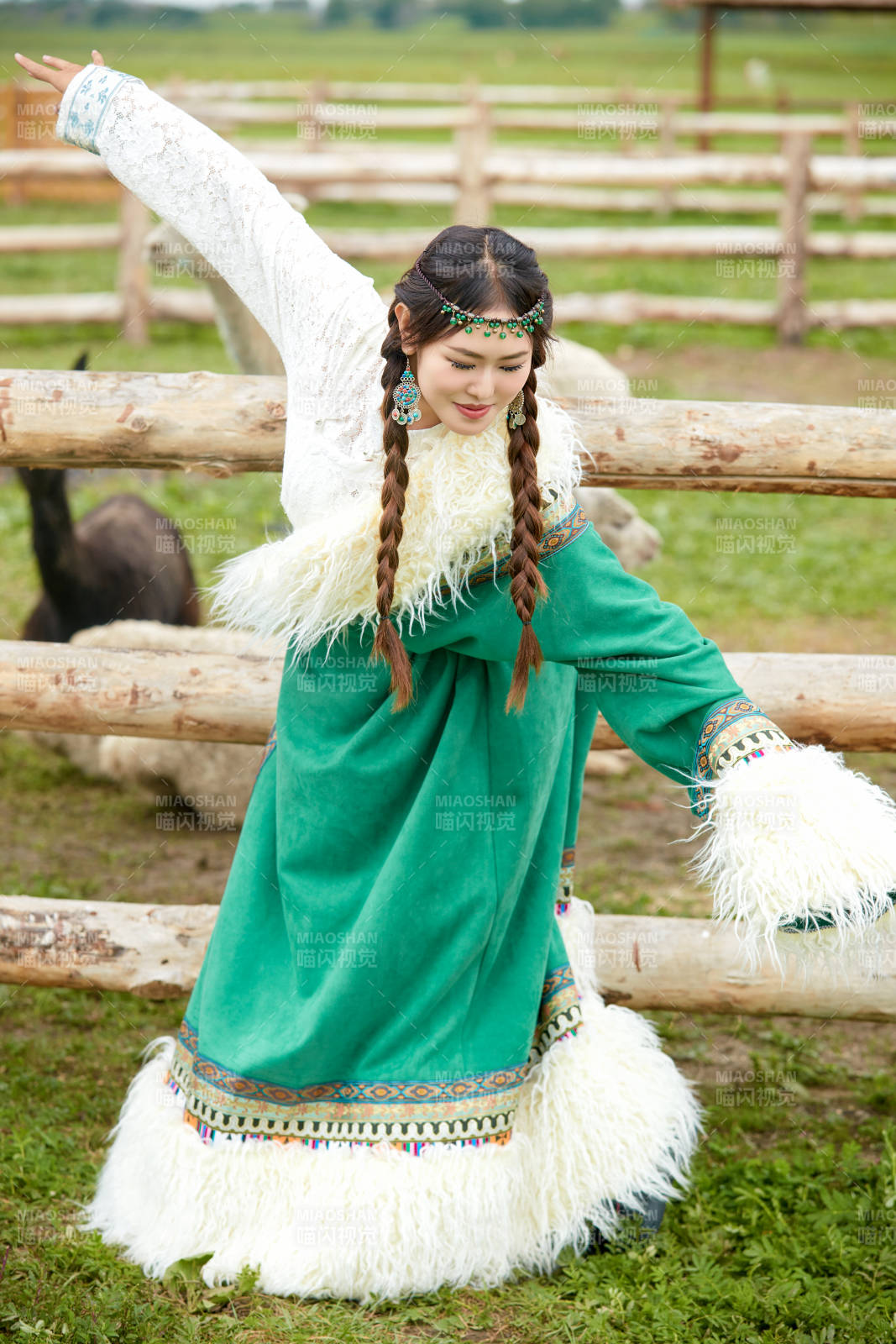 穿藏族服饰的姑娘在羊驼饲养基地拍照