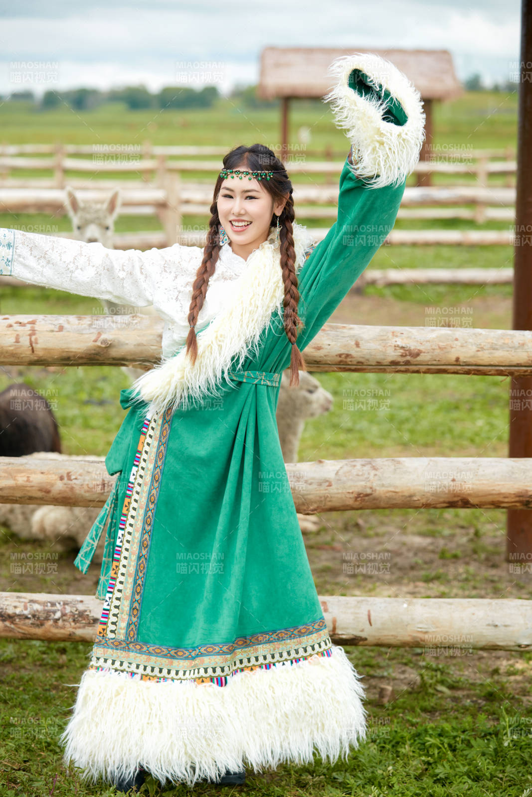 穿藏族服饰的姑娘在羊驼饲养基地拍照